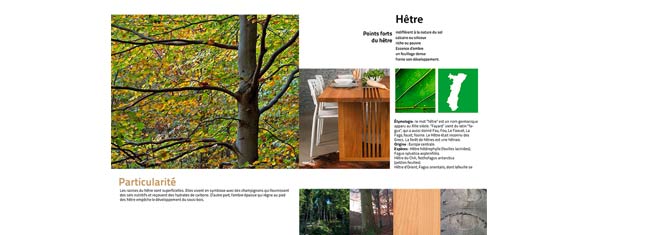 Pages interieures brochure
