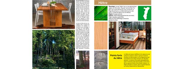 Mise en page sur grille de quatre colonnes