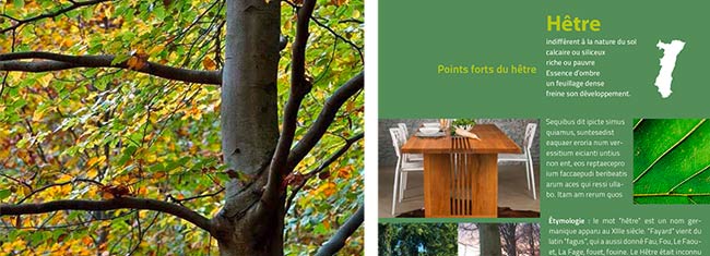 brochure contenu en vert