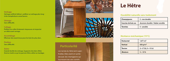 création pages scientifique